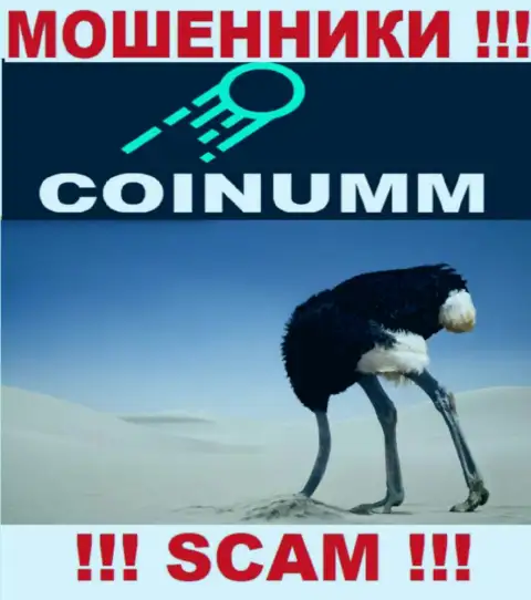 Компания Coinumm не имеет регулятора и лицензионного документа на право осуществления деятельности