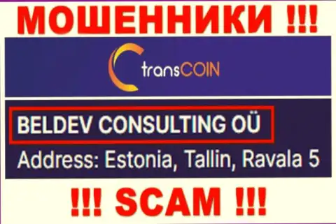 TransCoin - юридическое лицо интернет мошенников контора BELDEV CONSULTING OÜ