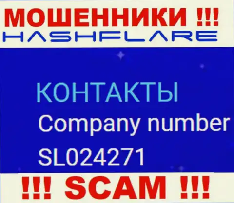 Номер регистрации, под которым зарегистрирована организация Hash Flare: SL024271