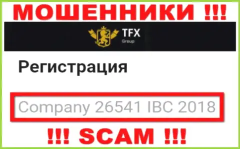 Регистрационный номер, который принадлежит незаконно действующей организации TFX Group: 26541 IBC 2018