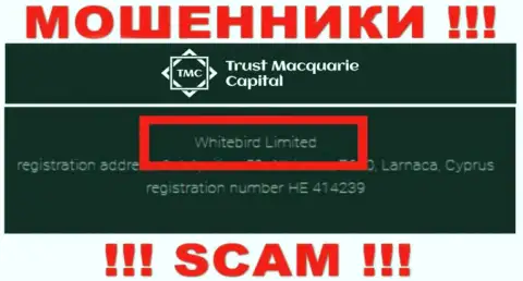 На официальном сервисе Траст М Капитал сказано, что указанной организацией управляет Whitebird Limited