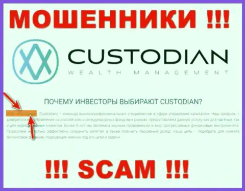 Юридическим лицом, владеющим интернет-аферистами Кустодиан, является ООО Кастодиан