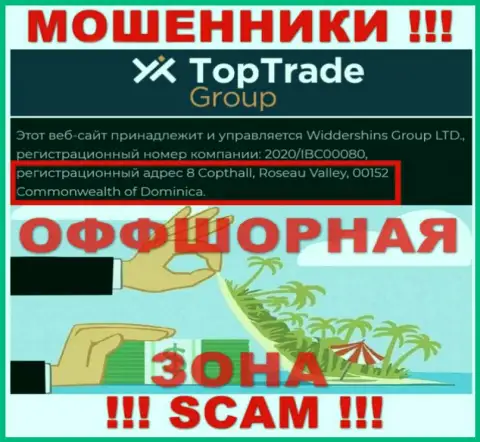 Top Trade Group - это МОШЕННИКИ !!! Пустили корни в офшорной зоне - 8 Copthall, Roseau Valley, 00152 Commonwealth of Dominica