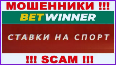 Bookmaker - это область деятельности, в которой орудуют BetWinner