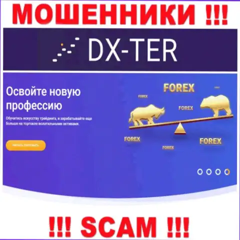 С конторой DX-Ter Com работать крайне рискованно, их направление деятельности Forex - это ловушка