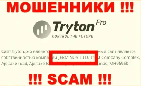 Данные о юр. лице TrytonPro - им является компания Jerminus LTD