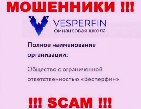 Информация про юридическое лицо интернет мошенников ВесперФин Ком - ООО Весперфин, не спасет Вас от их лап