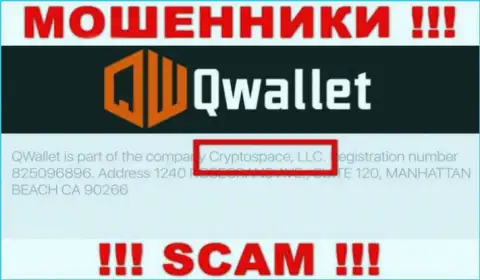 На официальном веб-портале Q Wallet говорится, что этой организацией руководит Cryptospace LLC