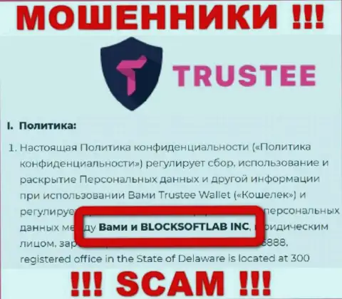 BLOCKSOFTLAB INC управляет брендом TrusteeGlobal Com - это МОШЕННИКИ !!!