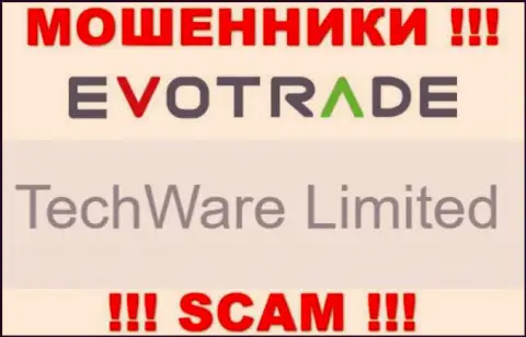 Юр лицом EvoTrade Com является - TechWare Limited