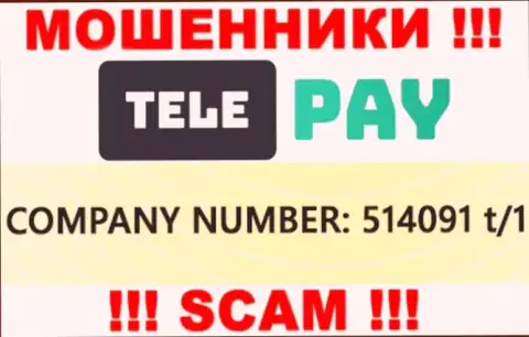 Рег. номер ТелеПай, который размещен мошенниками у них на web-сервисе: 514091 t/1
