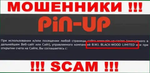 Ворюги Pin Up Casino принадлежат юридическому лицу - B.W.I. BLACK-WOOD LIMITED