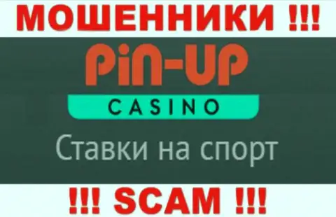 Основная деятельность Pin Up Casino - это Casino, будьте весьма внимательны, промышляют преступно