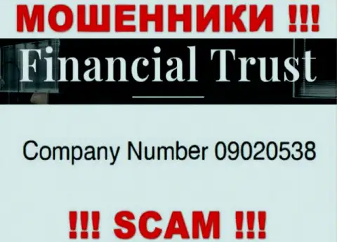 Регистрационный номер мошенников глобальной сети internet конторы Financial-Trust Ru: 09020538