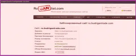 Веб-сервис BudriganTrade в пределах Российской Федерации был заблокирован Генеральной прокуратурой