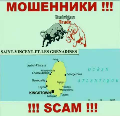 Будриган Трейд - это ВОРЮГИ, которые официально зарегистрированы на территории - Kingstown, Saint Vincent and the Grenadines