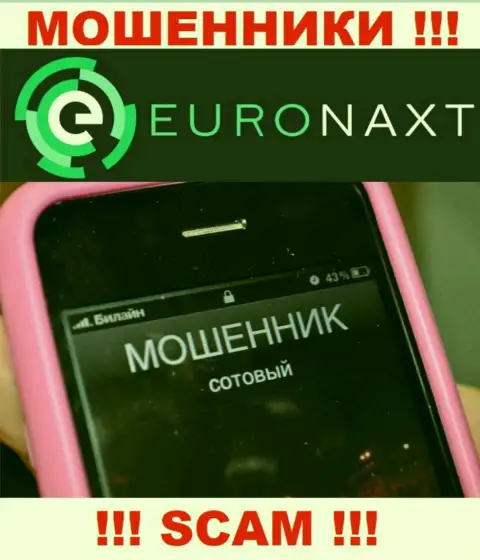 Вас намереваются раскрутить на деньги, EuroNax в поиске новых наивных людей