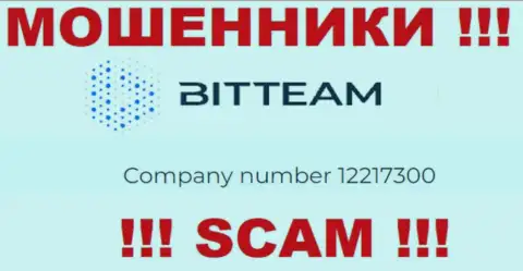 Рег. номер организации BitTeam - 12217300