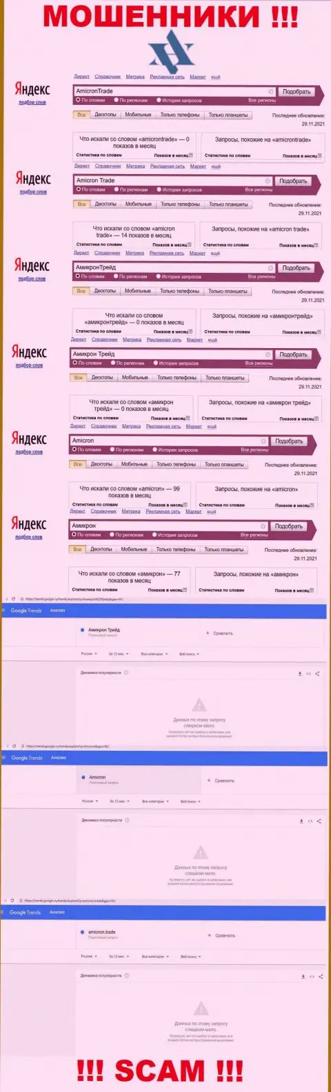 Данные статистики о брендовых онлайн-запросах касательно мошенников АмикронТрейд