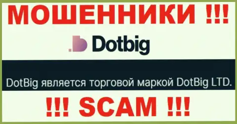 Dot Big - юр. лицо воров компания DotBig LTD