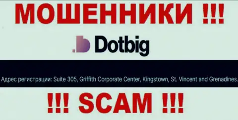 Все клиенты DotBig LTD будут ограблены - данные internet-мошенники пустили корни в офшоре: Suite 305, Griffith Corporate Centre Kingstown, St. Vincent and the Grenadines