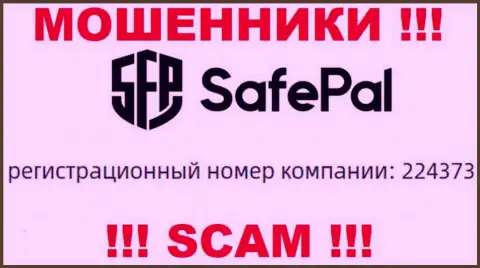 Номер регистрации организации Safe Pal - 224373