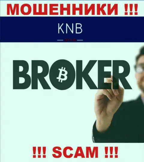 Брокер - в этом направлении предоставляют свои услуги internet-ворюги KNB-Group Net