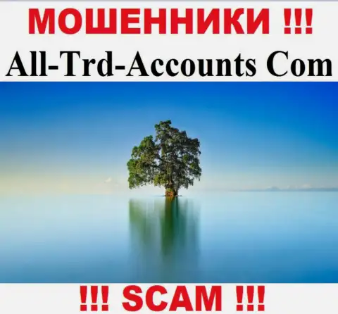 All Trd Accounts крадут деньги и остаются без наказания - они спрятали инфу о юрисдикции