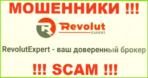 Разводилы RevolutExpert выставляют себя специалистами в направлении Брокер