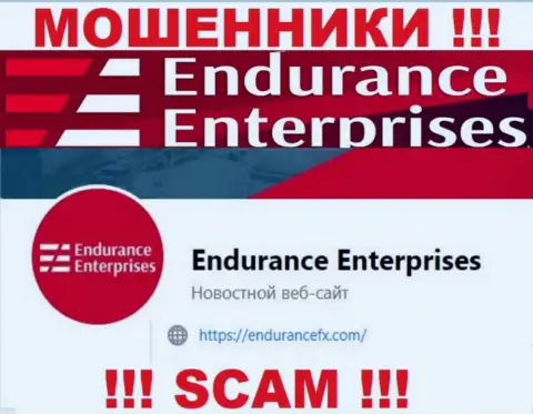 Установить связь с интернет-мошенниками из Endurance Enterprises вы можете, если напишите сообщение на их электронный адрес