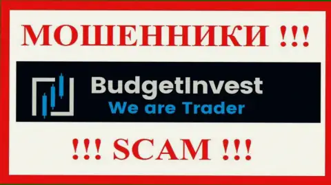 BudgetInvest Org - это МОШЕННИКИ ! Деньги назад не выводят !!!