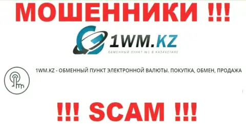 Деятельность разводил 1WM Kz: Internet-обменник - это капкан для малоопытных клиентов