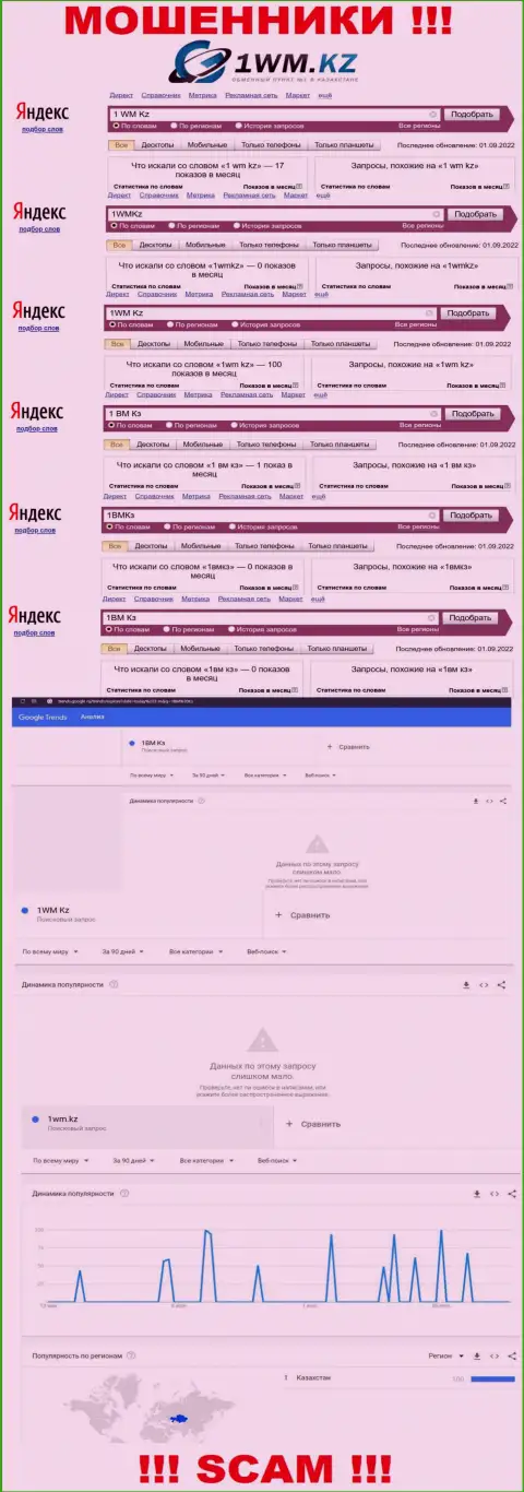 Детальный анализ online-запросов по неправомерно действующей компании 1WM Kz