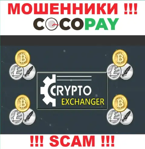 Coco Pay это циничные интернет-мошенники, направление деятельности которых - Обменник