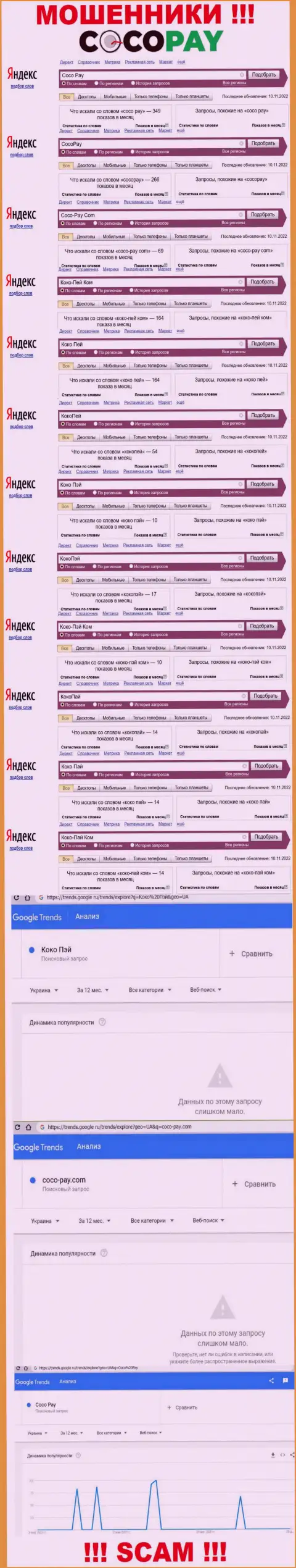 Сколько именно раз посетители всемирной сети internet пытались найти инфу об мошенниках КокоПей ?