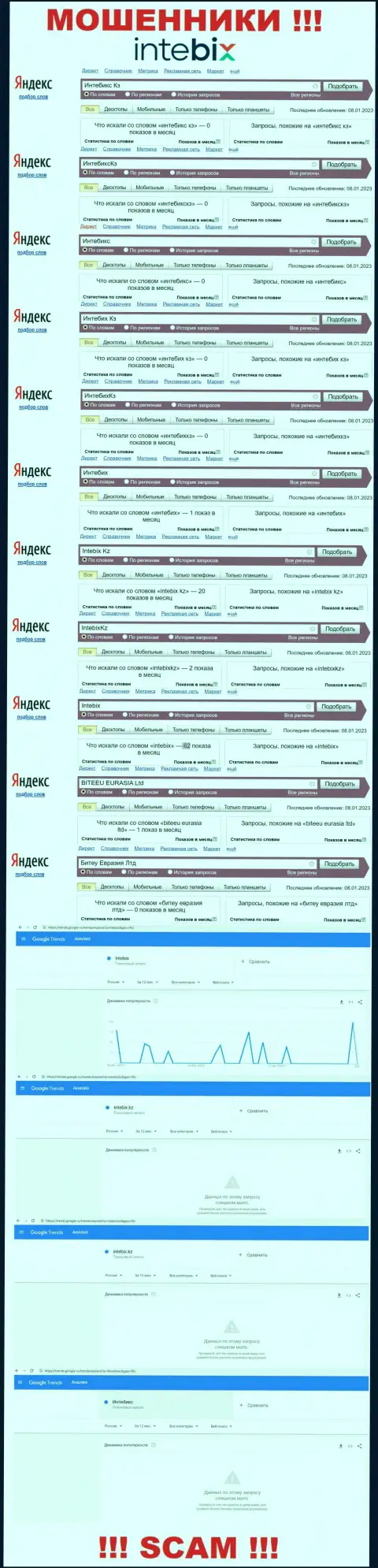 Статистика бренда ИнтебиксКз, какое именно количество просмотров у этой компании