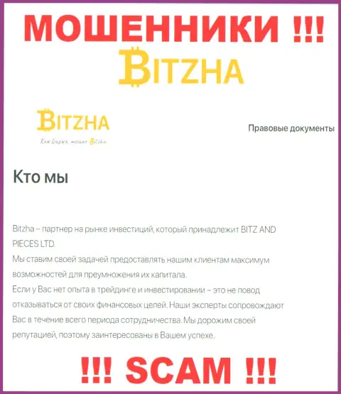 Bitzha 24 - это типичные internet мошенники, направление деятельности которых - Инвестиции