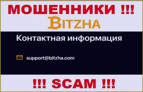 Адрес электронной почты мошенников Битж энд Пицес Лтд, информация с официального сайта