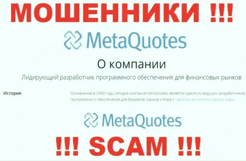 Разработка ПО - в этом направлении предоставляют свои услуги мошенники Meta Quotes