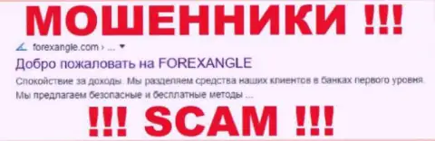 ForexAngle Com - это МОШЕННИКИ !!! SCAM !!!