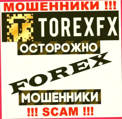 Род деятельности Торекс ФХ 42 Маркетинг Лимитед: Forex - хороший заработок для интернет разводил